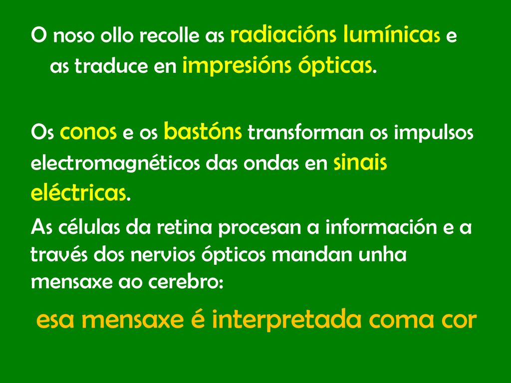 O noso ollo recolle as radiacións lumínicas e as traduce en impresións ópticas.