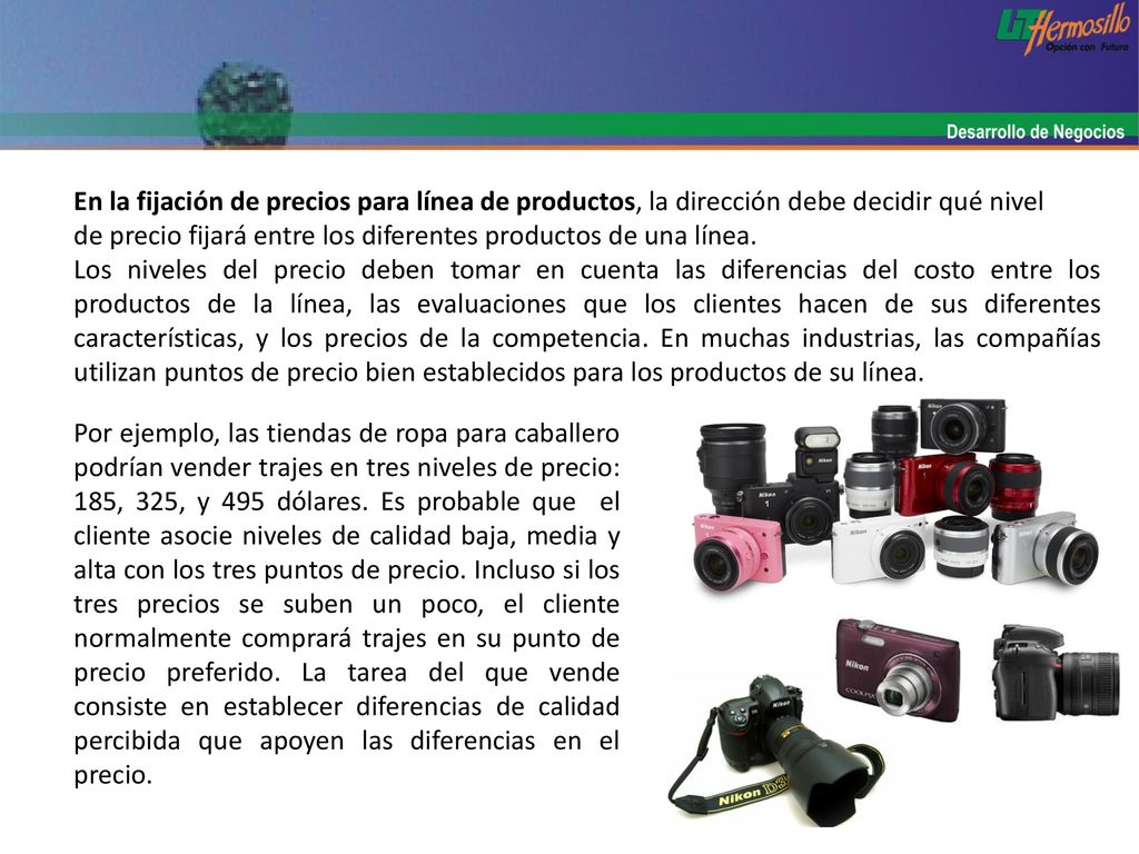 En la fijación de precios para línea de productos, la dirección debe decidir qué nivel