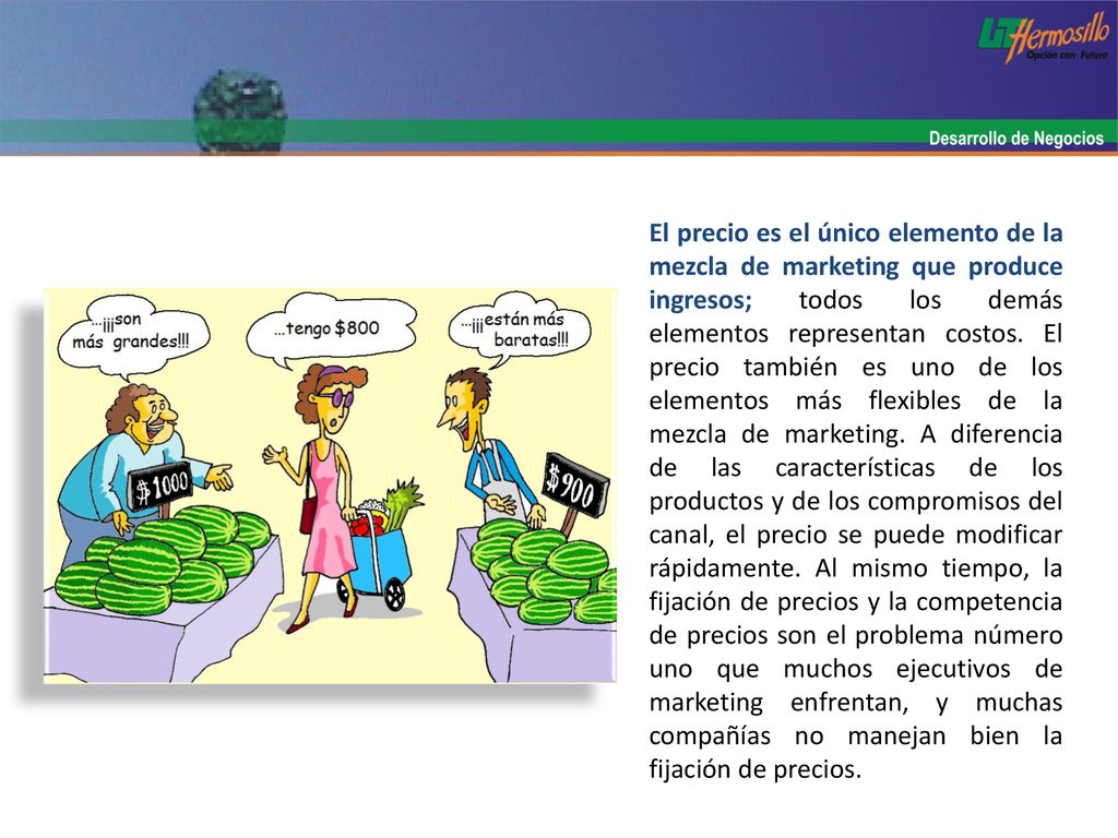 El precio es el único elemento de la mezcla de marketing que produce ingresos; todos los demás elementos representan costos.
