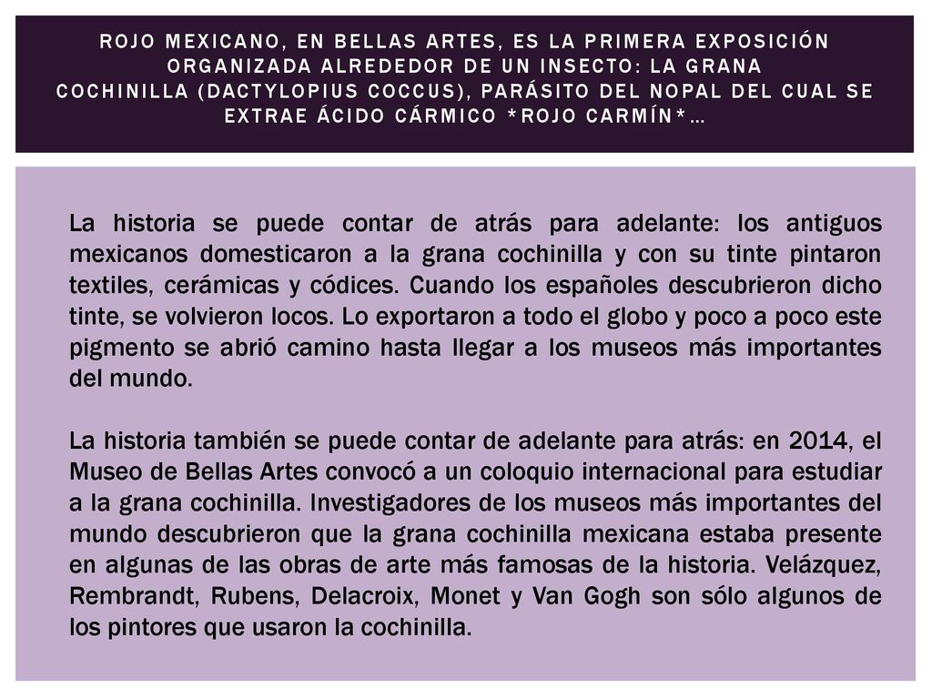 Rojo mexicano, en Bellas Artes, es la primera exposición organizada alrededor de un insecto: la grana cochinilla (dactylopius coccus), parásito del nopal del cual se extrae ácido cármico *rojo carmín*…