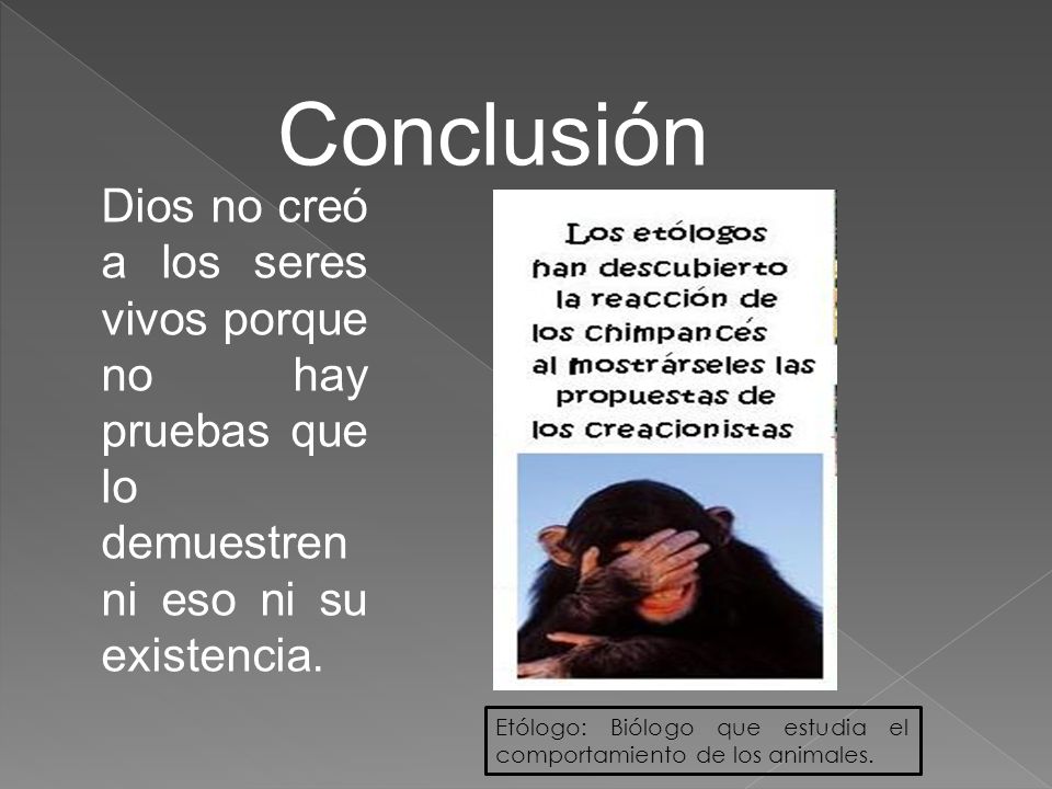 Conclusión Dios no creó a los seres vivos porque no hay pruebas que lo demuestren ni eso ni su existencia.