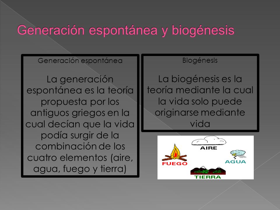 Generación espontánea y biogénesis