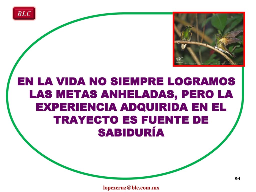 BLC EN LA VIDA NO SIEMPRE LOGRAMOS LAS METAS ANHELADAS, PERO LA EXPERIENCIA ADQUIRIDA EN EL TRAYECTO ES FUENTE DE SABIDURÍA.