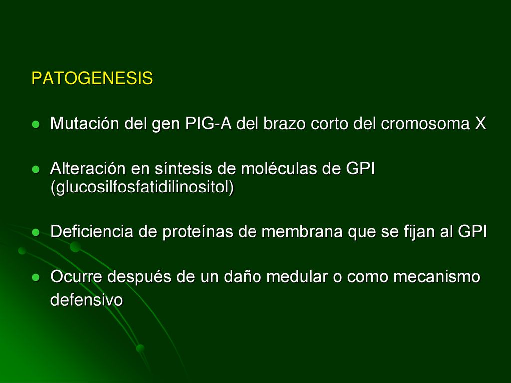 PATOGENESIS Mutación del gen PIG-A del brazo corto del cromosoma X. Alteración en síntesis de moléculas de GPI (glucosilfosfatidilinositol)