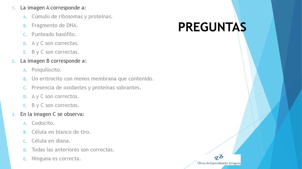 PREGUNTAS La imagen A corresponde a: Cúmulo de ribosomas y proteínas.
