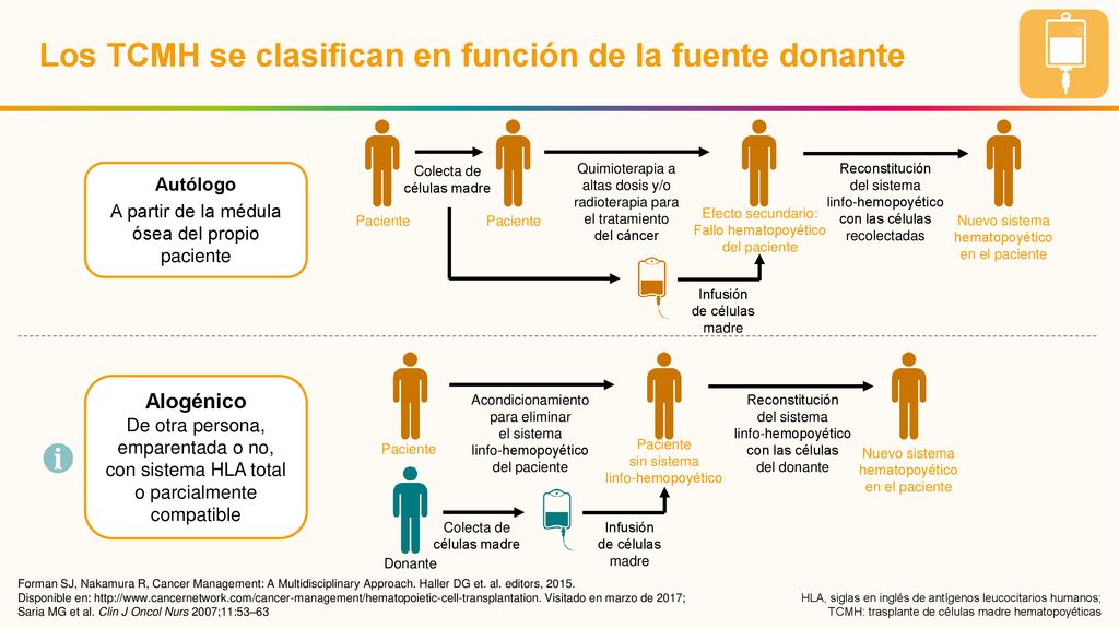 Los TCMH se clasifican en función de la fuente donante