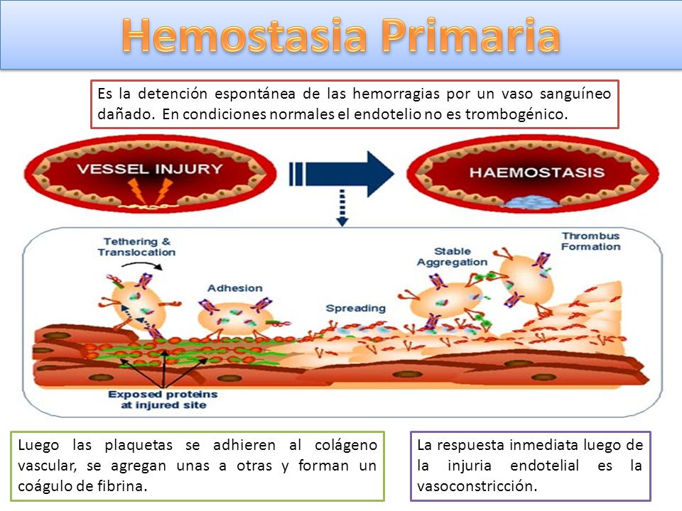 Hemostasia Primaria