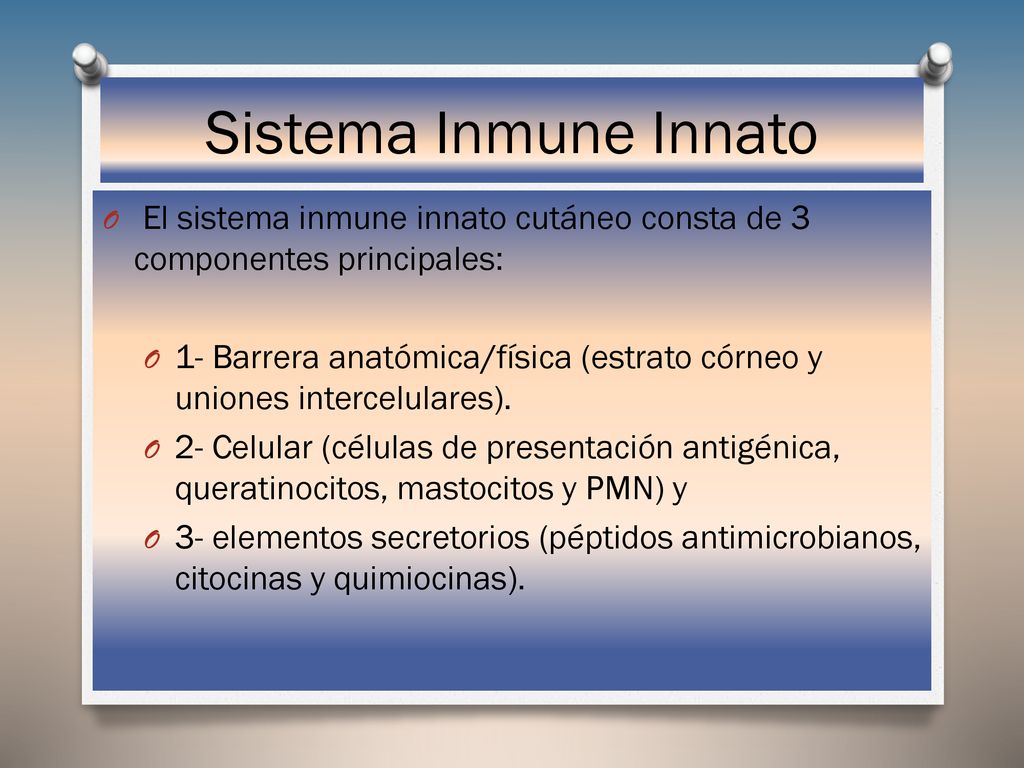 Sistema Inmune Innato El sistema inmune innato cutáneo consta de 3 componentes principales: