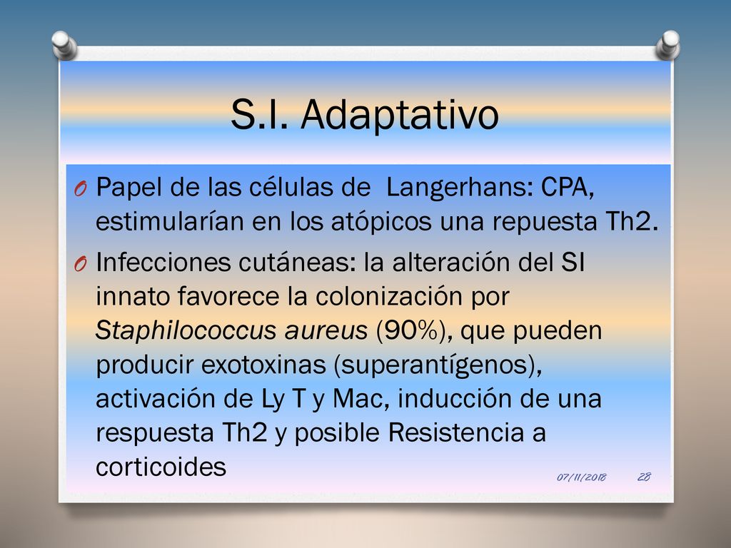 S.I. Adaptativo Papel de las células de Langerhans: CPA, estimularían en los atópicos una repuesta Th2.