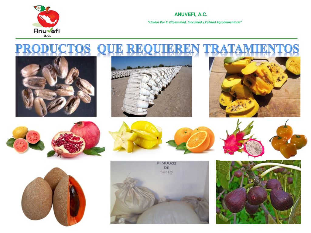 PRODUCTOS QUE REQUIEREN TRATAMIENTOS