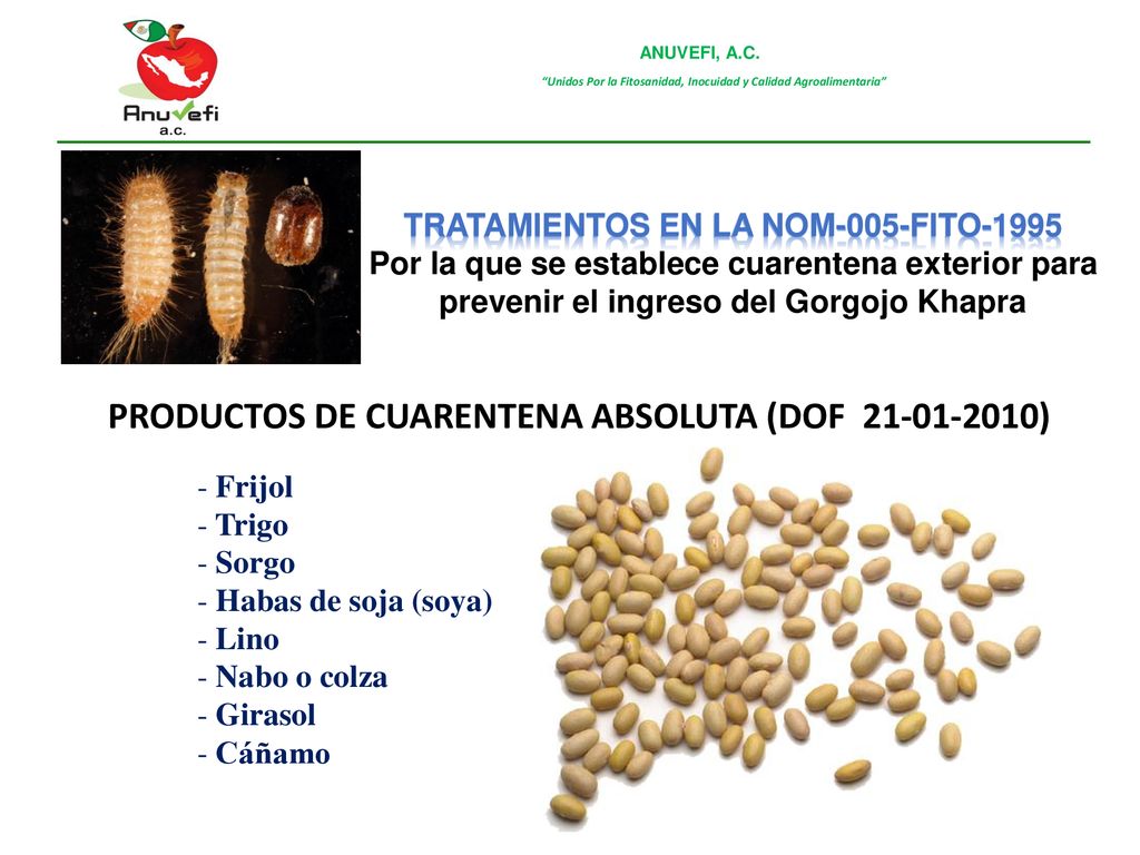 PRODUCTOS DE CUARENTENA ABSOLUTA (DOF )