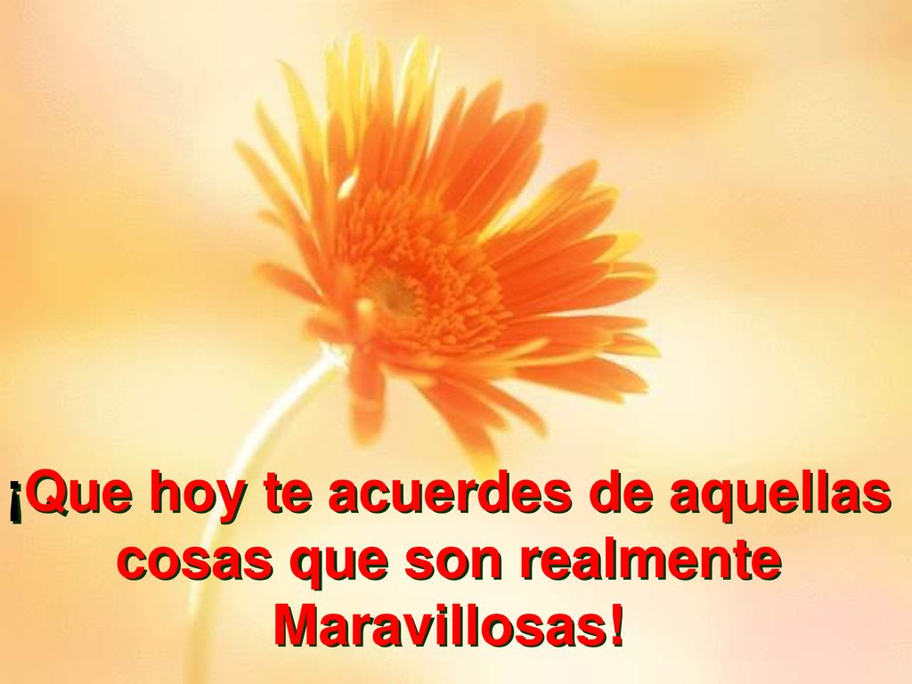 ¡Que hoy te acuerdes de aquellas cosas que son realmente Maravillosas!