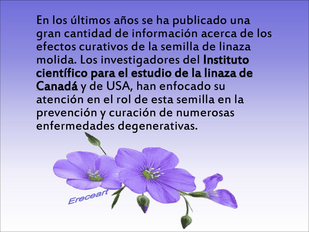 En los últimos años se ha publicado una gran cantidad de información acerca de los efectos curativos de la semilla de linaza molida. Los investigadores del Instituto científico para el estudio de la linaza de Canadá y de USA, han enfocado su atención en el rol de esta semilla en la prevención y curación de numerosas enfermedades degenerativas.