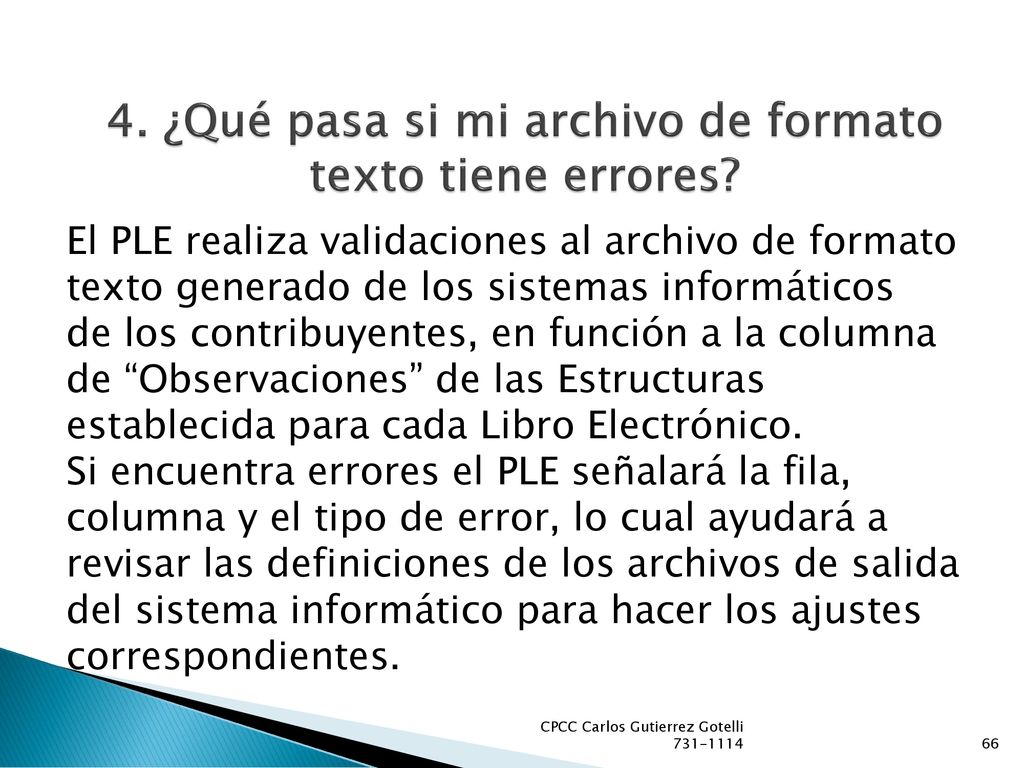 4. ¿Qué pasa si mi archivo de formato texto tiene errores