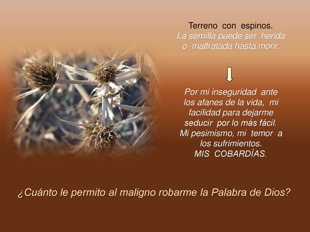 ¿Cuánto le permito al maligno robarme la Palabra de Dios