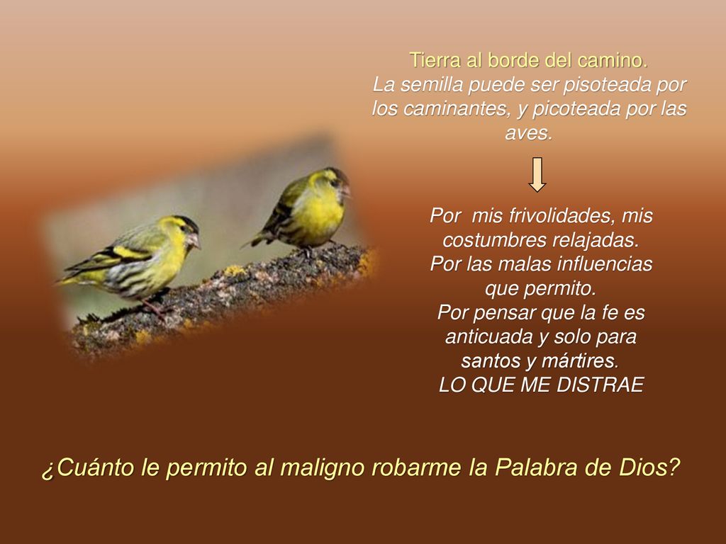 ¿Cuánto le permito al maligno robarme la Palabra de Dios
