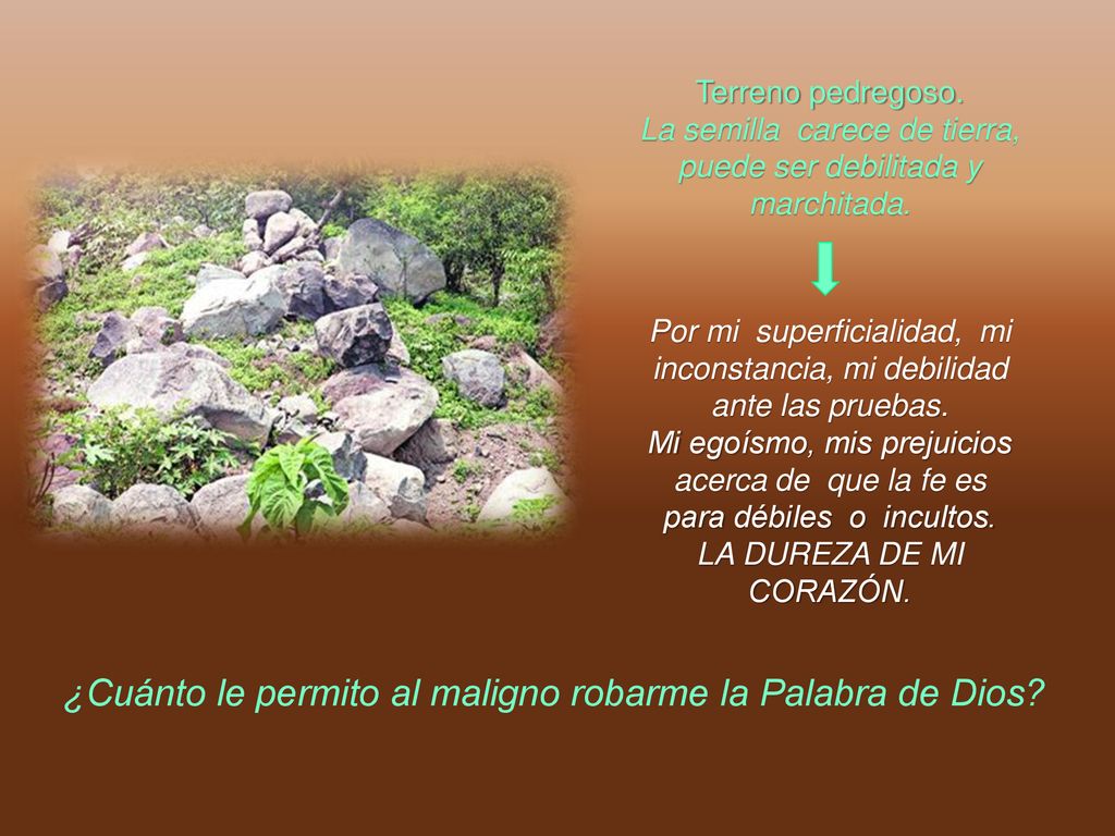¿Cuánto le permito al maligno robarme la Palabra de Dios