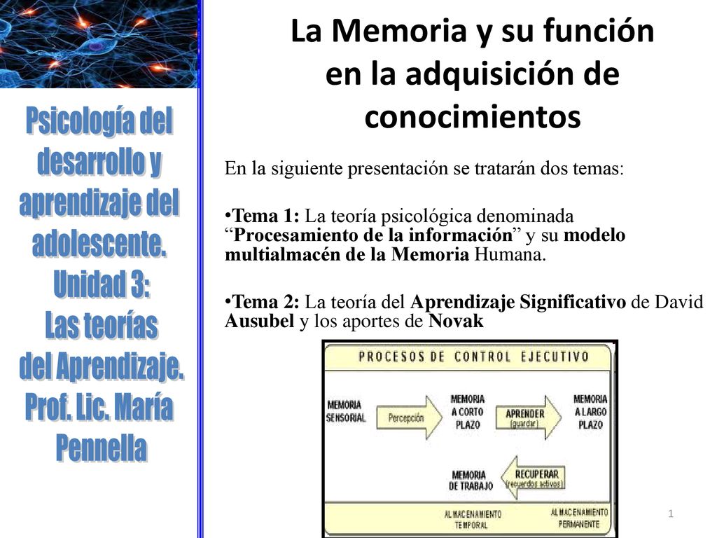 La Memoria y su función en la adquisición de conocimientos