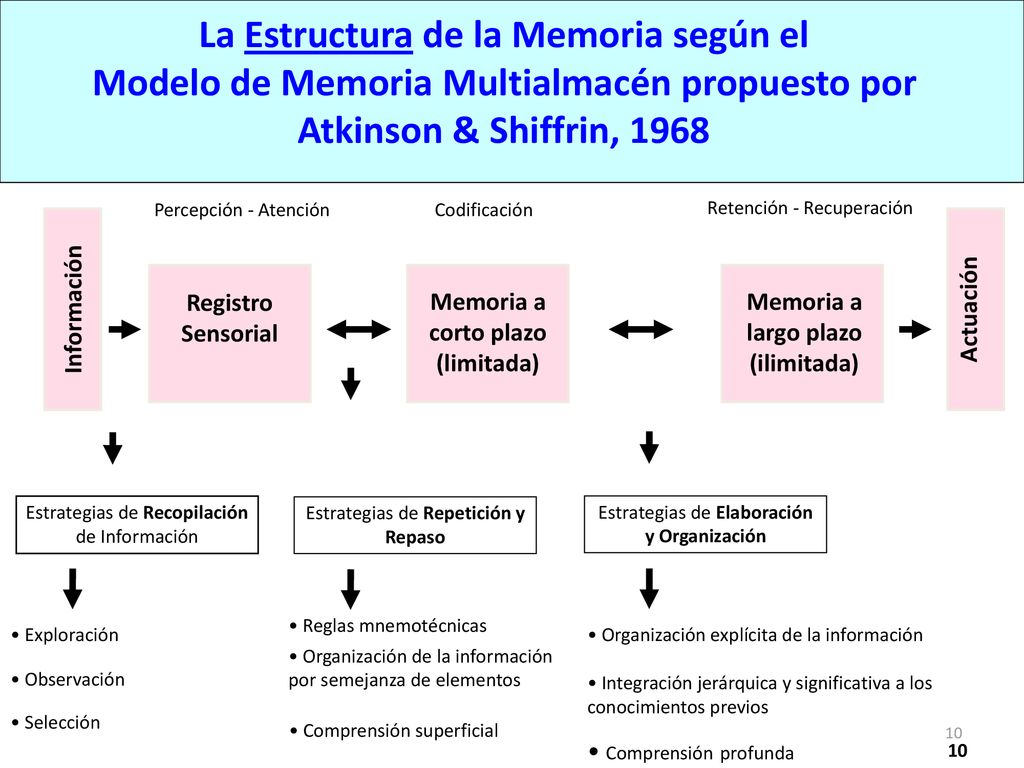 Memoria a corto plazo (limitada) Memoria a largo plazo (ilimitada)