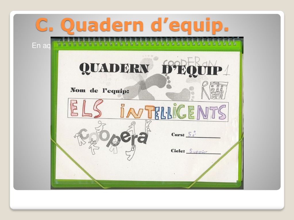 C. Quadern d’equip. En aquest àmbit el que es controla és el propi treball en equip.