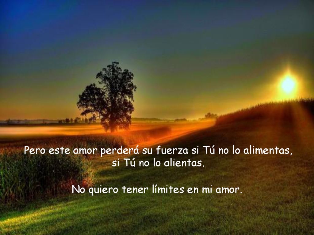 Pero este amor perderá su fuerza si Tú no lo alimentas,