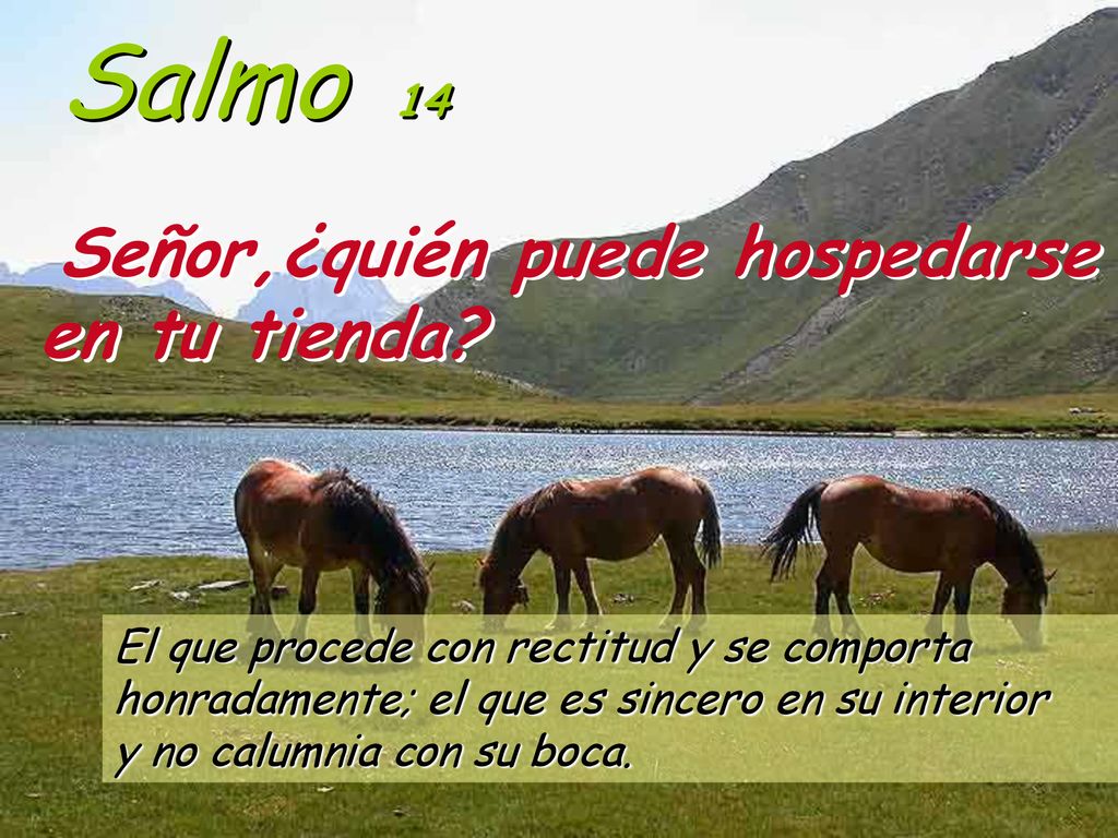 Salmo 14 Señor,¿quién puede hospedarse en tu tienda
