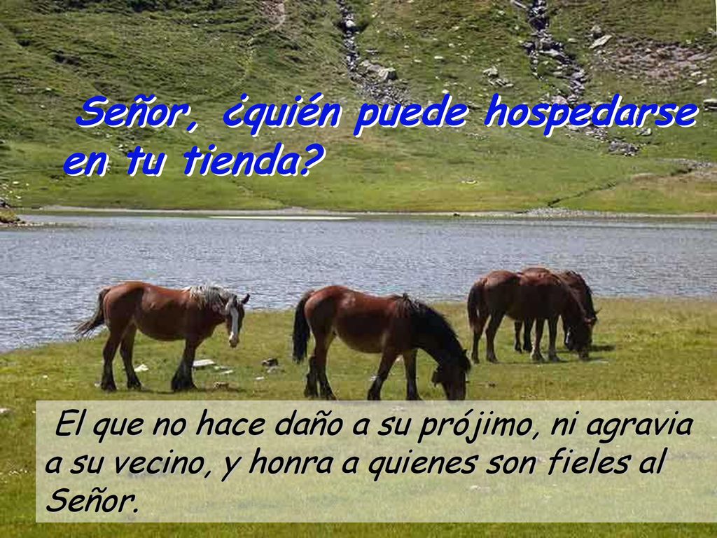Señor, ¿quién puede hospedarse en tu tienda