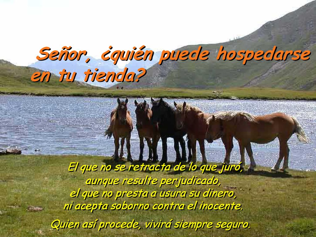 Señor, ¿quién puede hospedarse en tu tienda