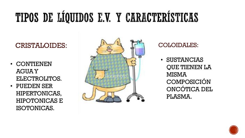Tipos de líquidos E.V. y características
