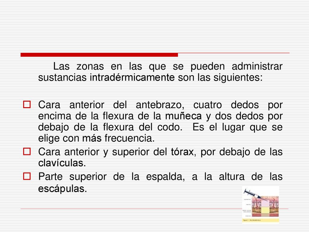 Las zonas en las que se pueden administrar sustancias intradérmicamente son las siguientes: