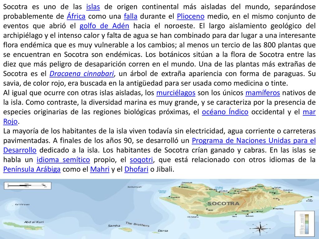 Socotra es uno de las islas de origen continental más aisladas del mundo, separándose probablemente de África como una falla durante el Plioceno medio, en el mismo conjunto de eventos que abrió el golfo de Adén hacia el noroeste. El largo aislamiento geológico del archipiélago y el intenso calor y falta de agua se han combinado para dar lugar a una interesante flora endémica que es muy vulnerable a los cambios; al menos un tercio de las 800 plantas que se encuentran en Socotra son endémicas. Los botánicos sitúan a la flora de Socotra entre las diez que más peligro de desaparición corren en el mundo. Una de las plantas más extrañas de Socotra es el Dracaena cinnabari, un árbol de extraña apariencia con forma de paraguas. Su savia, de color rojo, era buscada en la antigüedad para ser usada como medicina o tinte.