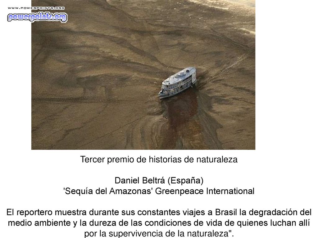 Tercer premio de historias de naturaleza Daniel Beltrá (España) Sequía del Amazonas Greenpeace International El reportero muestra durante sus constantes viajes a Brasil la degradación del medio ambiente y la dureza de las condiciones de vida de quienes luchan allí por la supervivencia de la naturaleza .