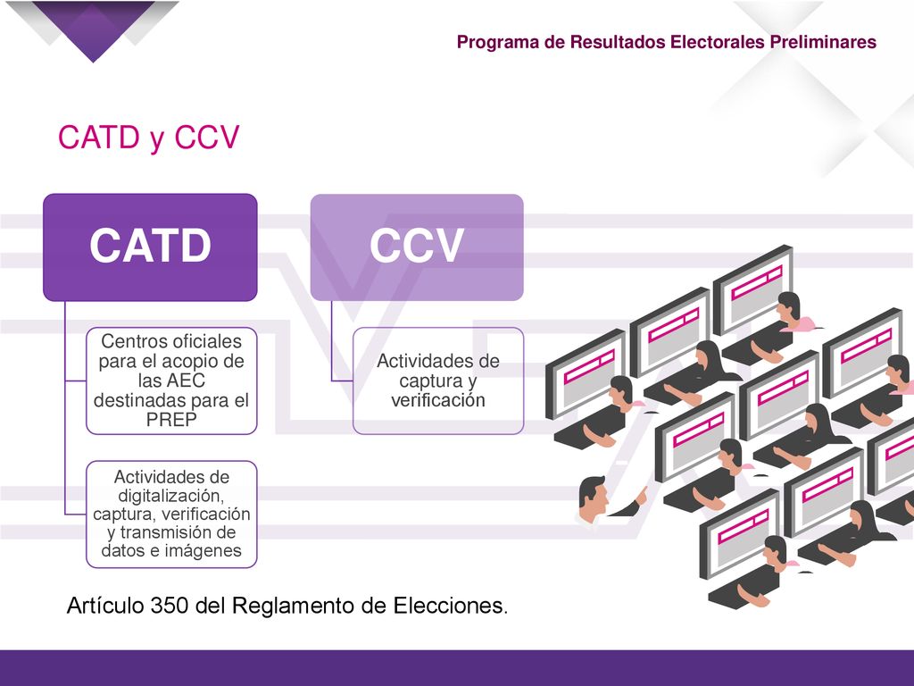 CATD CCV CATD y CCV Artículo 350 del Reglamento de Elecciones.