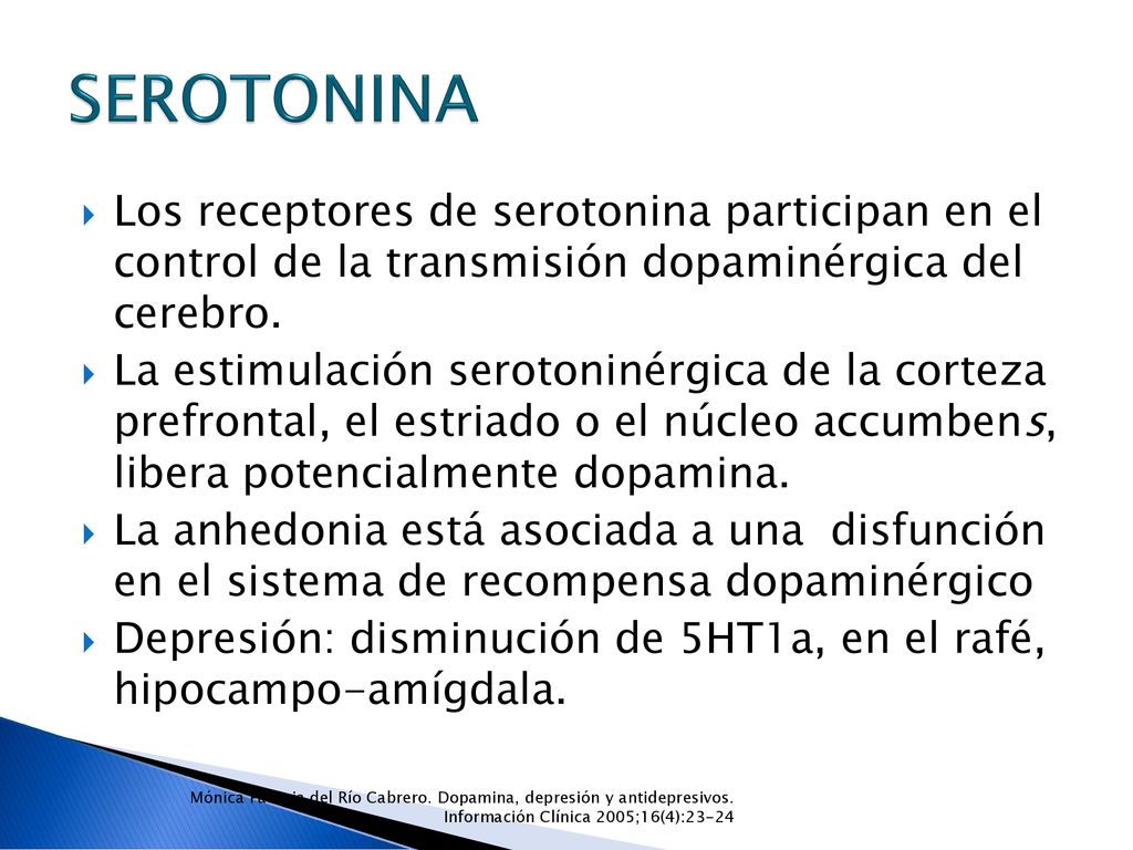SEROTONINA Los receptores de serotonina participan en el control de la transmisión dopaminérgica del cerebro.