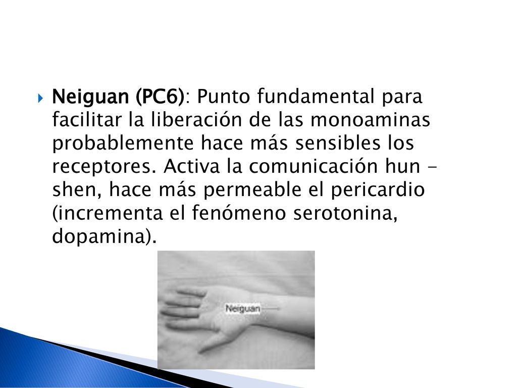 Neiguan (PC6): Punto fundamental para facilitar la liberación de las monoaminas probablemente hace más sensibles los receptores.