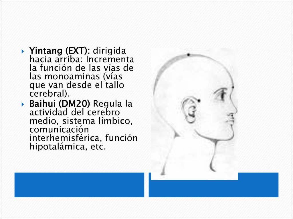 Yintang (EXT): dirigida hacia arriba: Incrementa la función de las vías de las monoaminas (vías que van desde el tallo cerebral).