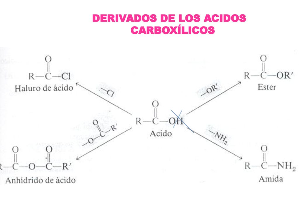 DERIVADOS DE LOS ACIDOS