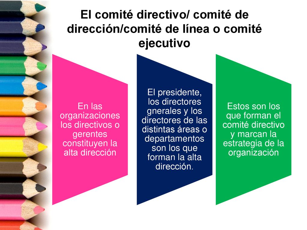 El comité directivo/ comité de dirección/comité de línea o comité ejecutivo