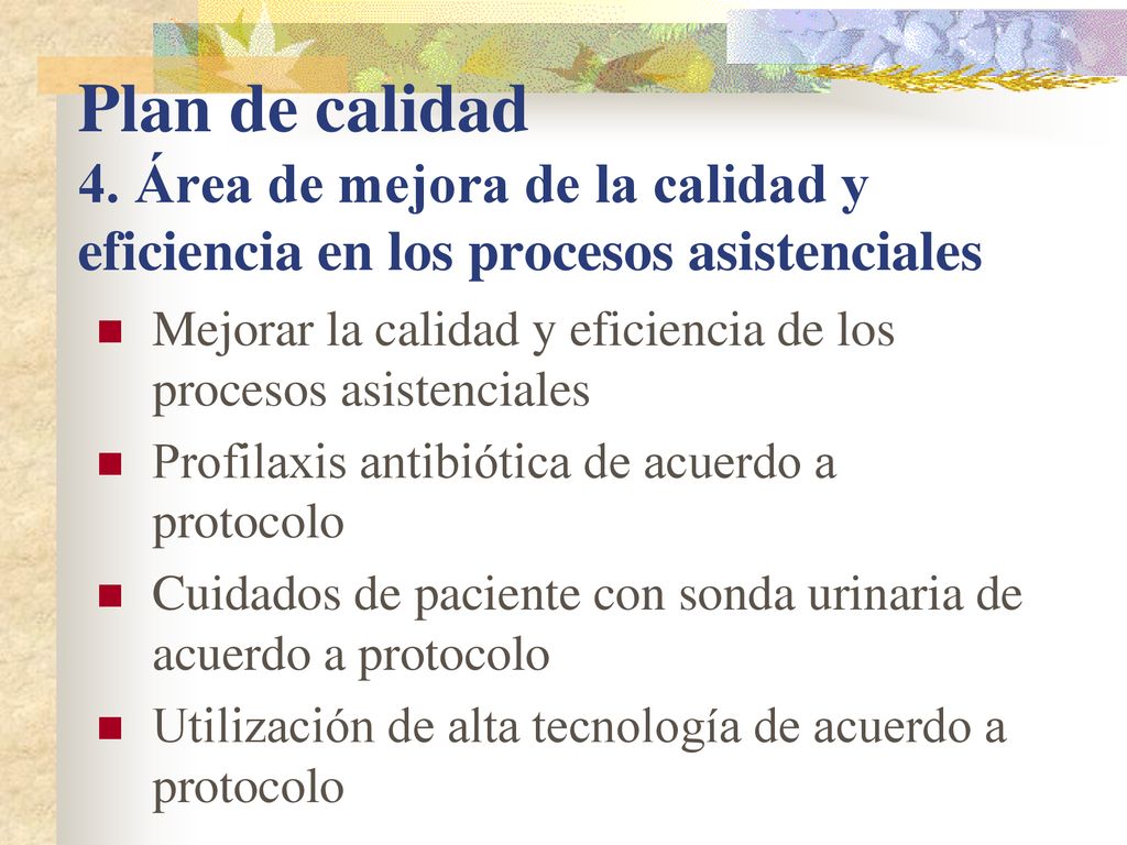 Plan de calidad 4. Área de mejora de la calidad y eficiencia en los procesos asistenciales