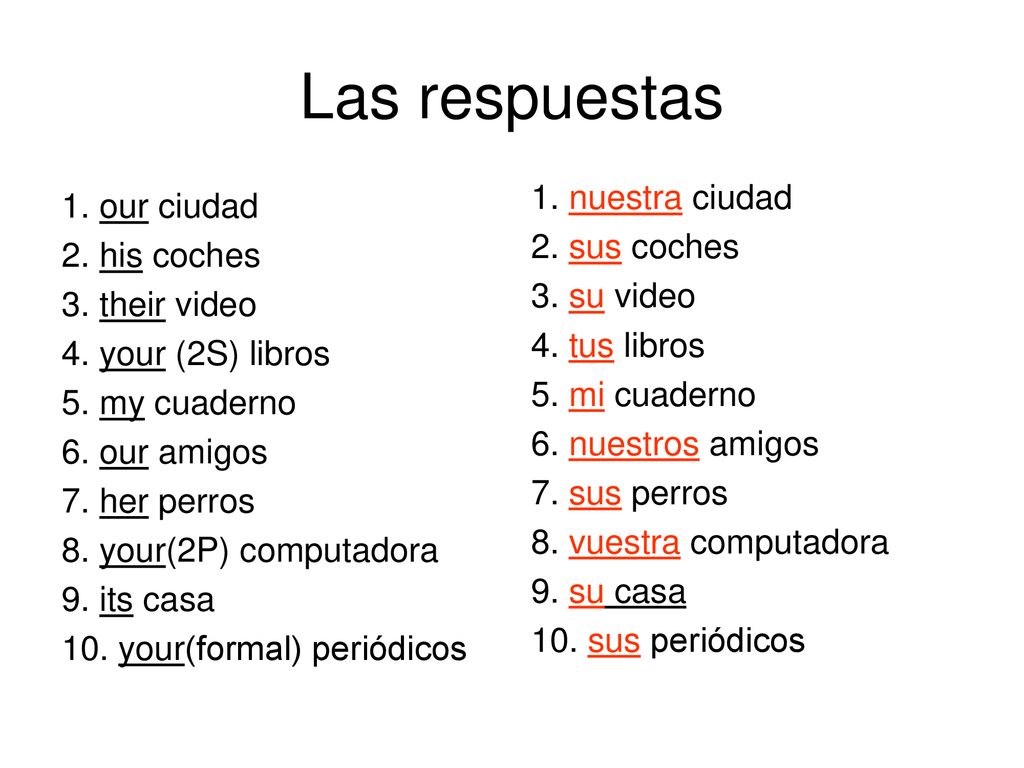Las respuestas 1. nuestra ciudad 1. our ciudad 2. sus coches