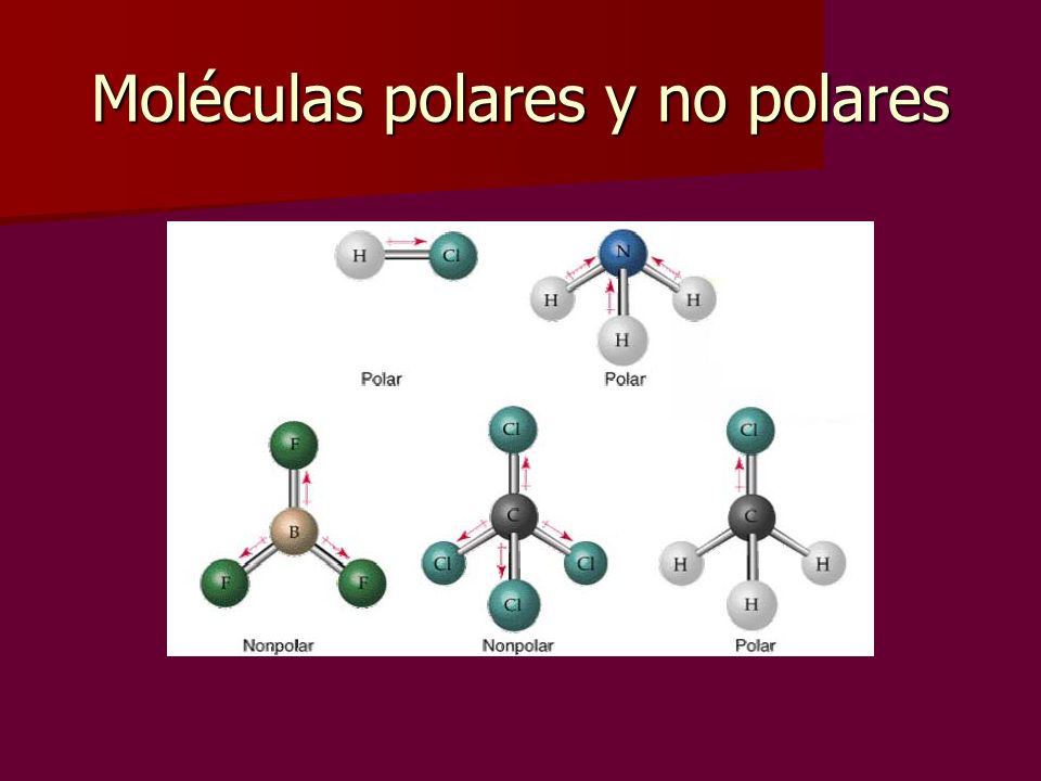 Moléculas polares y no polares