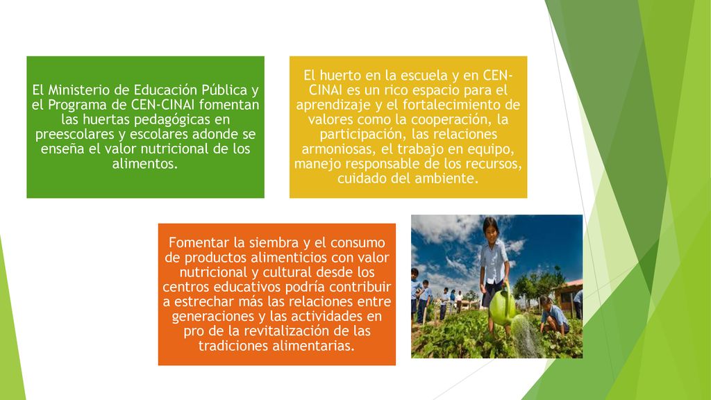 El Ministerio de Educación Pública y el Programa de CEN-CINAI fomentan las huertas pedagógicas en preescolares y escolares adonde se enseña el valor nutricional de los alimentos.