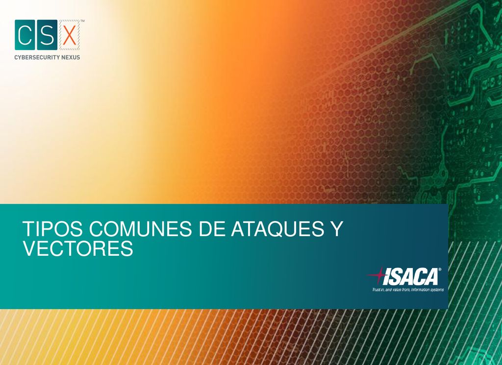 TIPOS COMUNES DE ATAQUES Y VECTORES