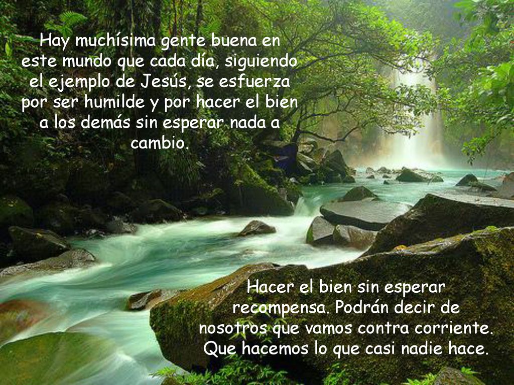 Hay muchísima gente buena en este mundo que cada día, siguiendo el ejemplo de Jesús, se esfuerza por ser humilde y por hacer el bien a los demás sin esperar nada a cambio.