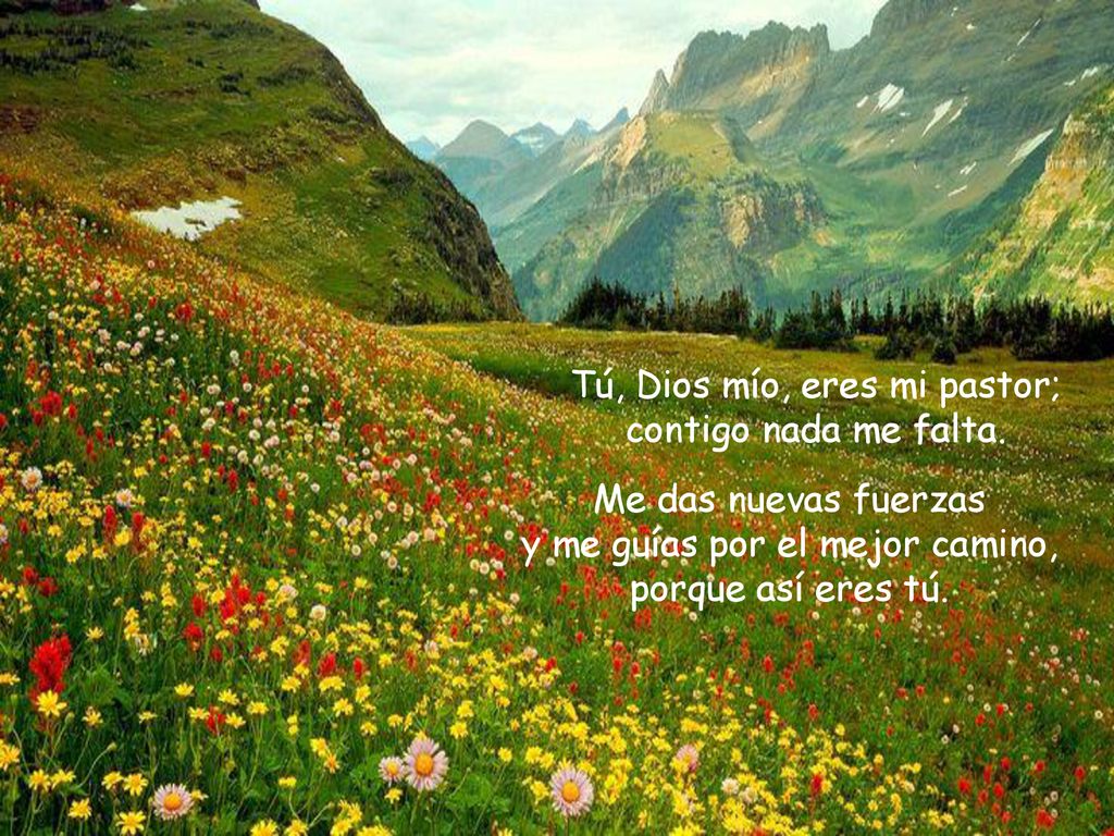 Tú, Dios mío, eres mi pastor; contigo nada me falta.