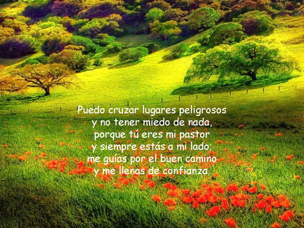 Puedo cruzar lugares peligrosos y no tener miedo de nada, porque tú eres mi pastor y siempre estás a mi lado; me guías por el buen camino y me llenas de confianza.