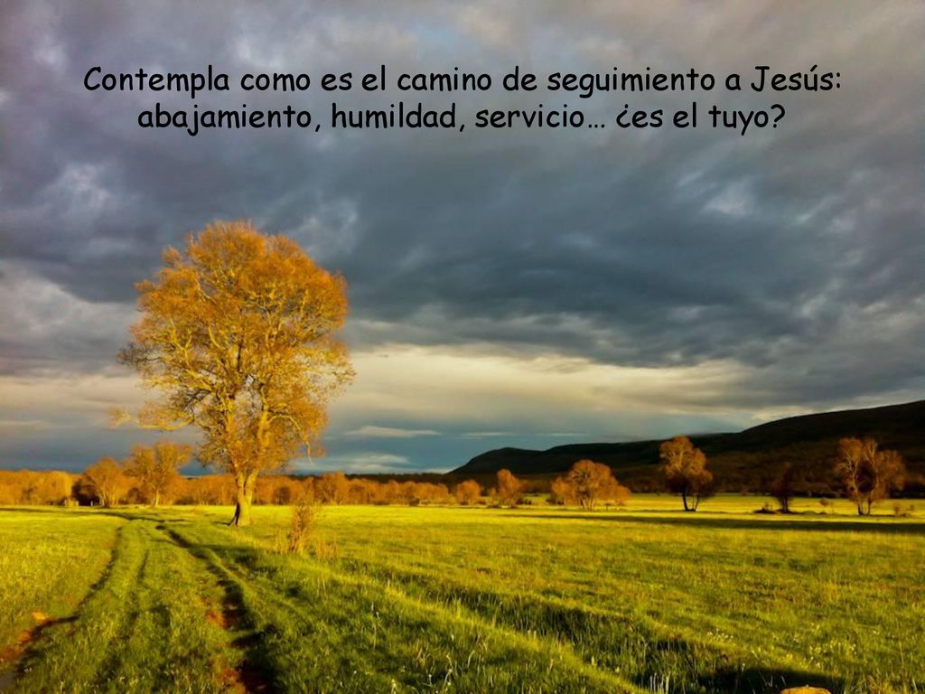 Contempla como es el camino de seguimiento a Jesús: abajamiento, humildad, servicio… ¿es el tuyo