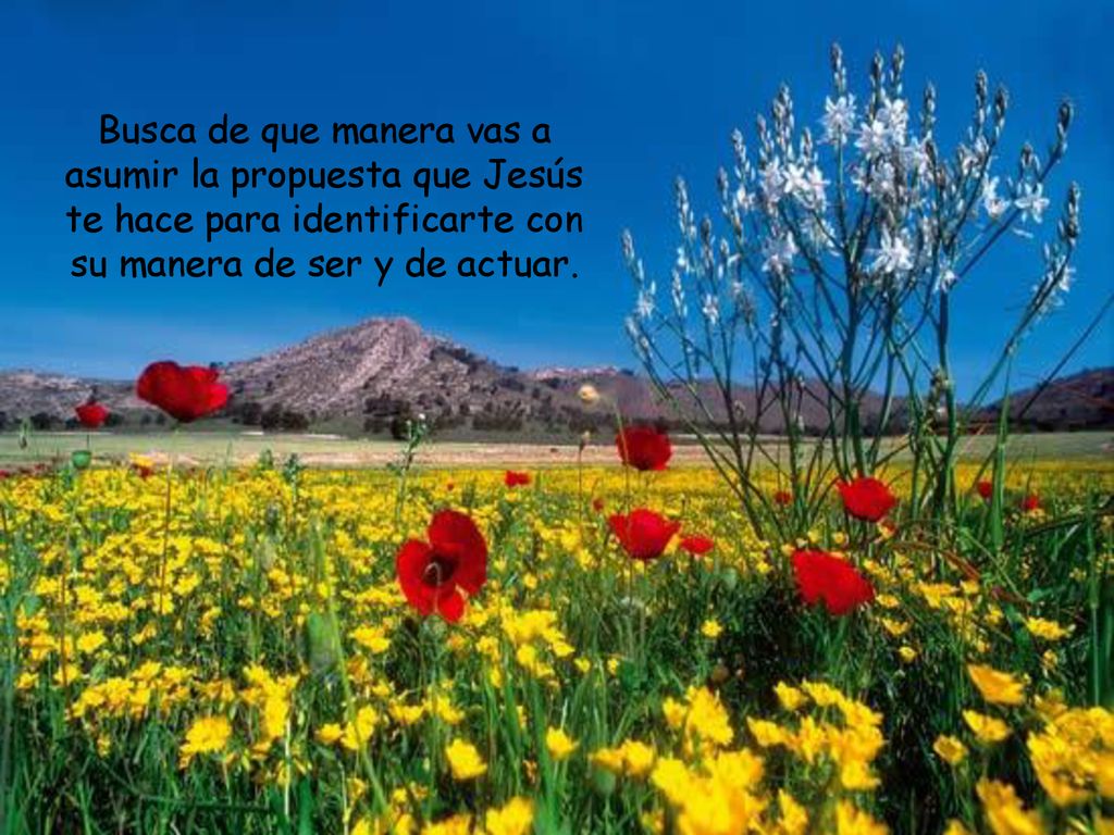 Busca de que manera vas a asumir la propuesta que Jesús te hace para identificarte con su manera de ser y de actuar.