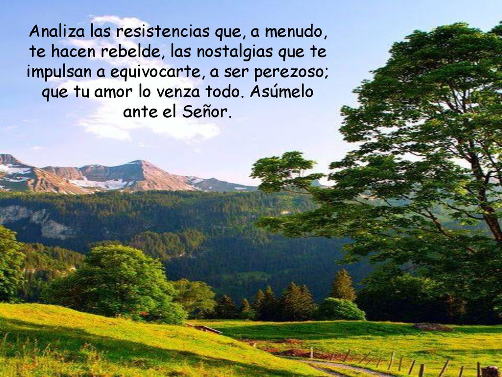 Analiza las resistencias que, a menudo, te hacen rebelde, las nostalgias que te impulsan a equivocarte, a ser perezoso; que tu amor lo venza todo.