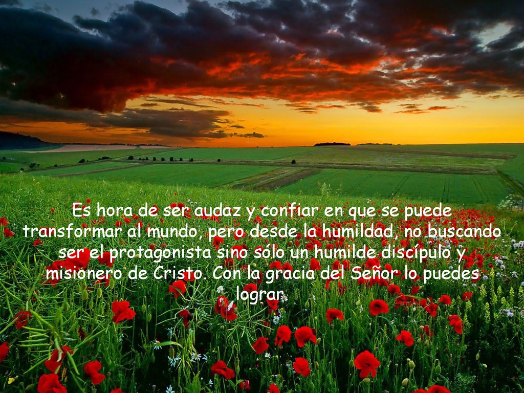 Es hora de ser audaz y confiar en que se puede transformar al mundo, pero desde la humildad, no buscando ser el protagonista sino sólo un humilde discípulo y misionero de Cristo.